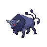 Shadow Tauros (Paldean)